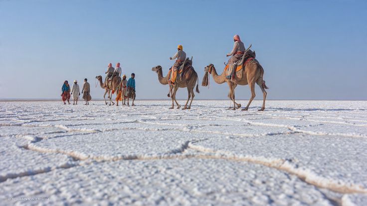 Gujarat travel inspiration