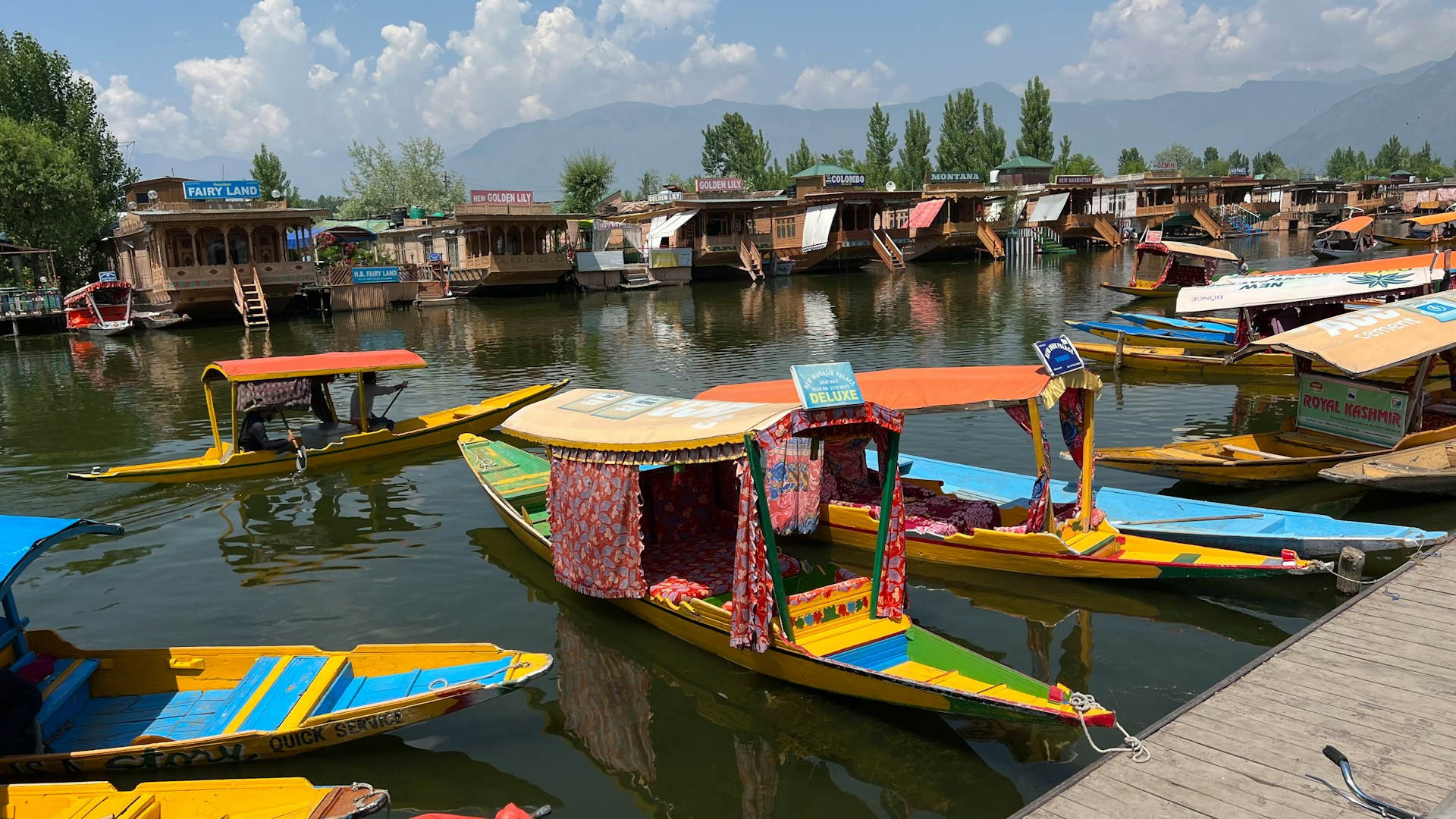 Kashmir