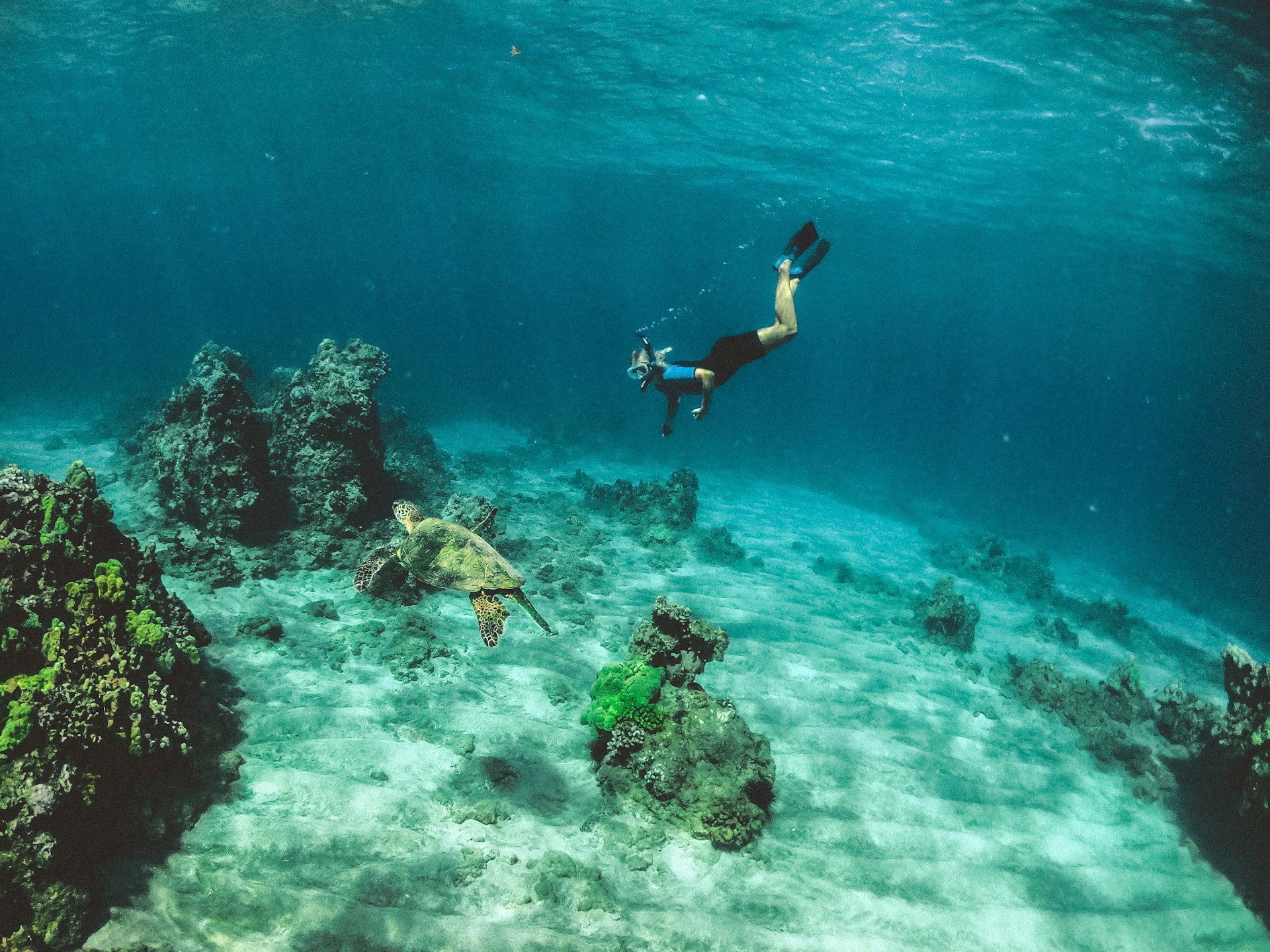 Bali travel inspiration