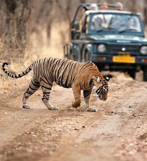 Madhya Pradesh travel inspiration