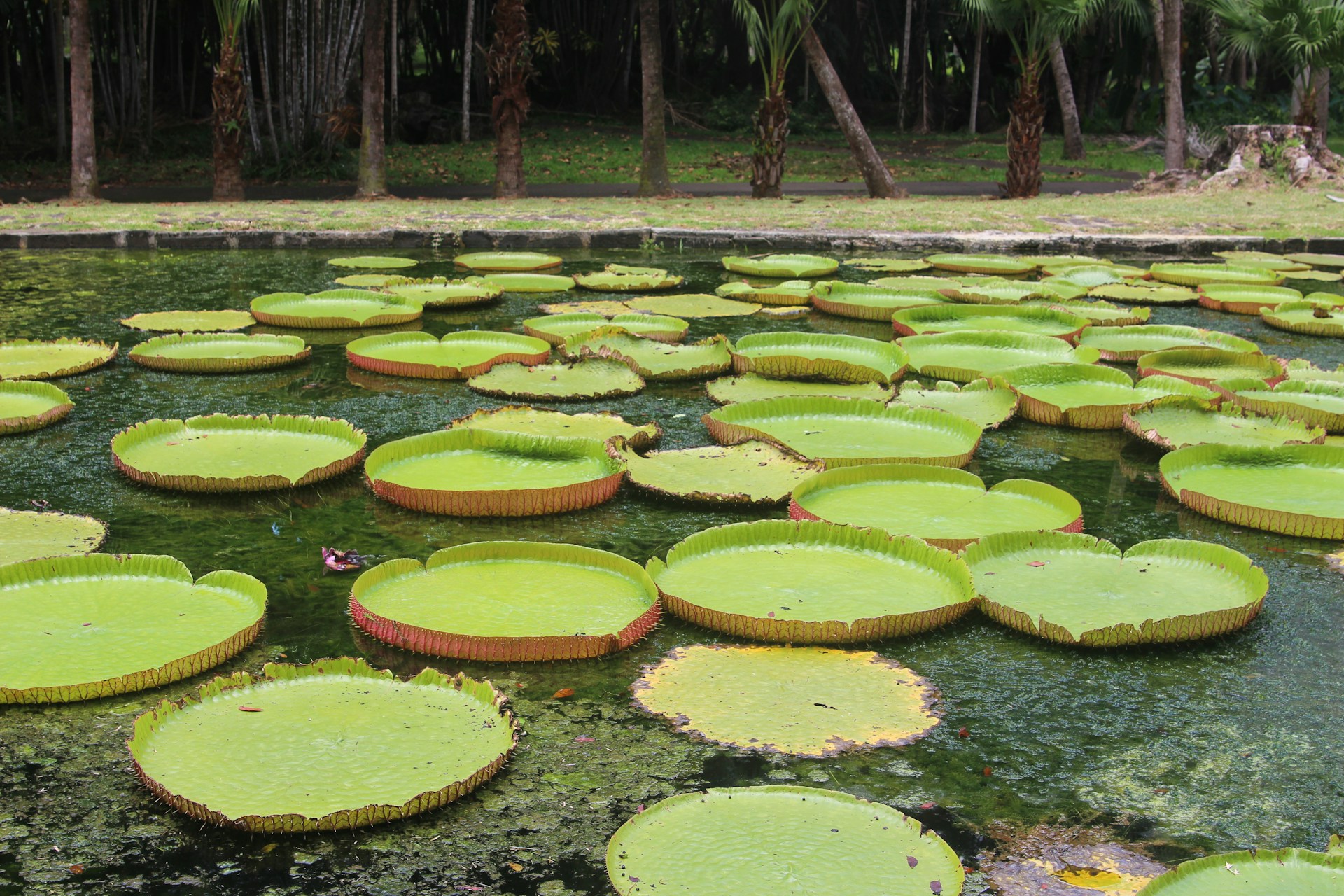 Mauritius travel inspiration