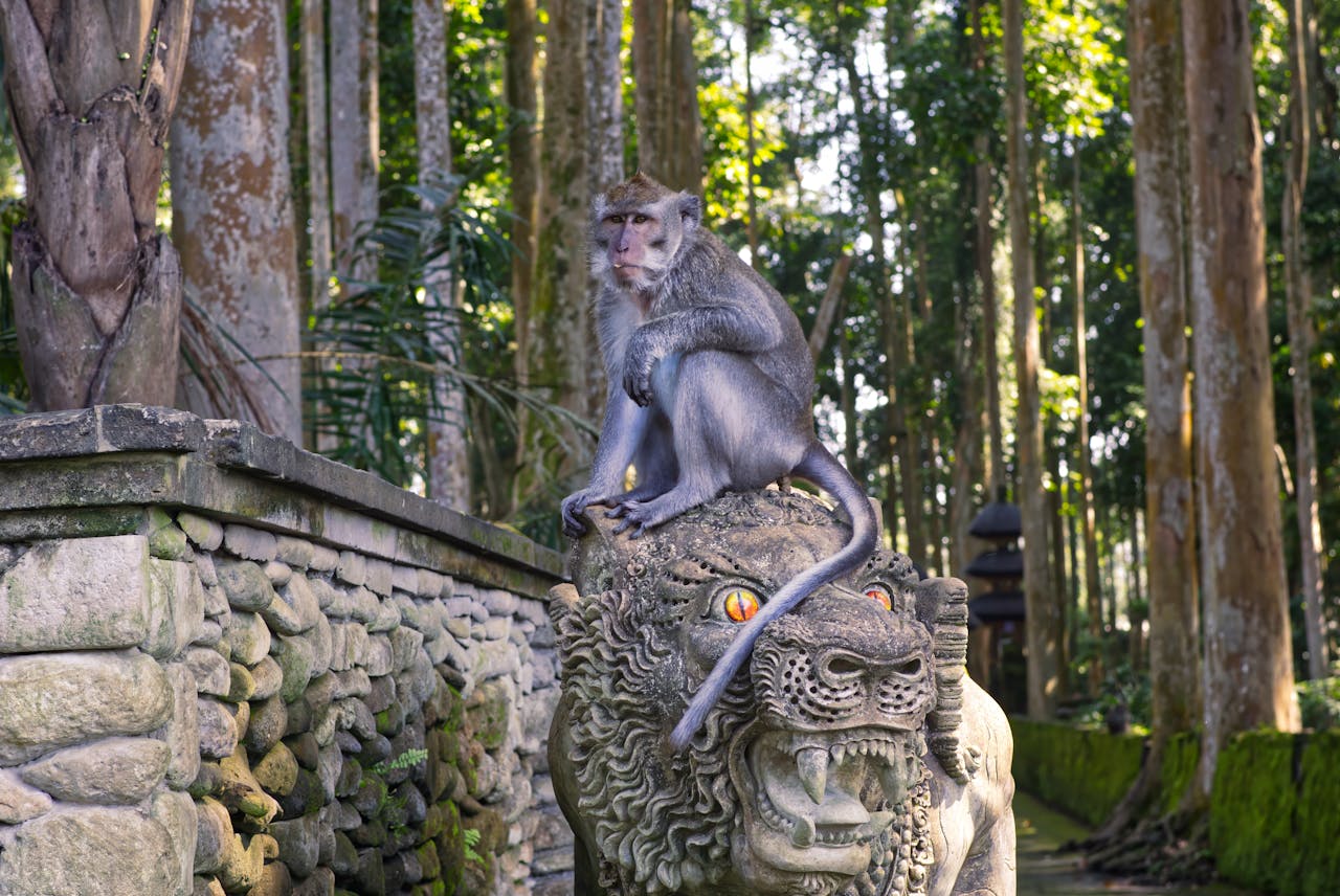 Bali travel inspiration