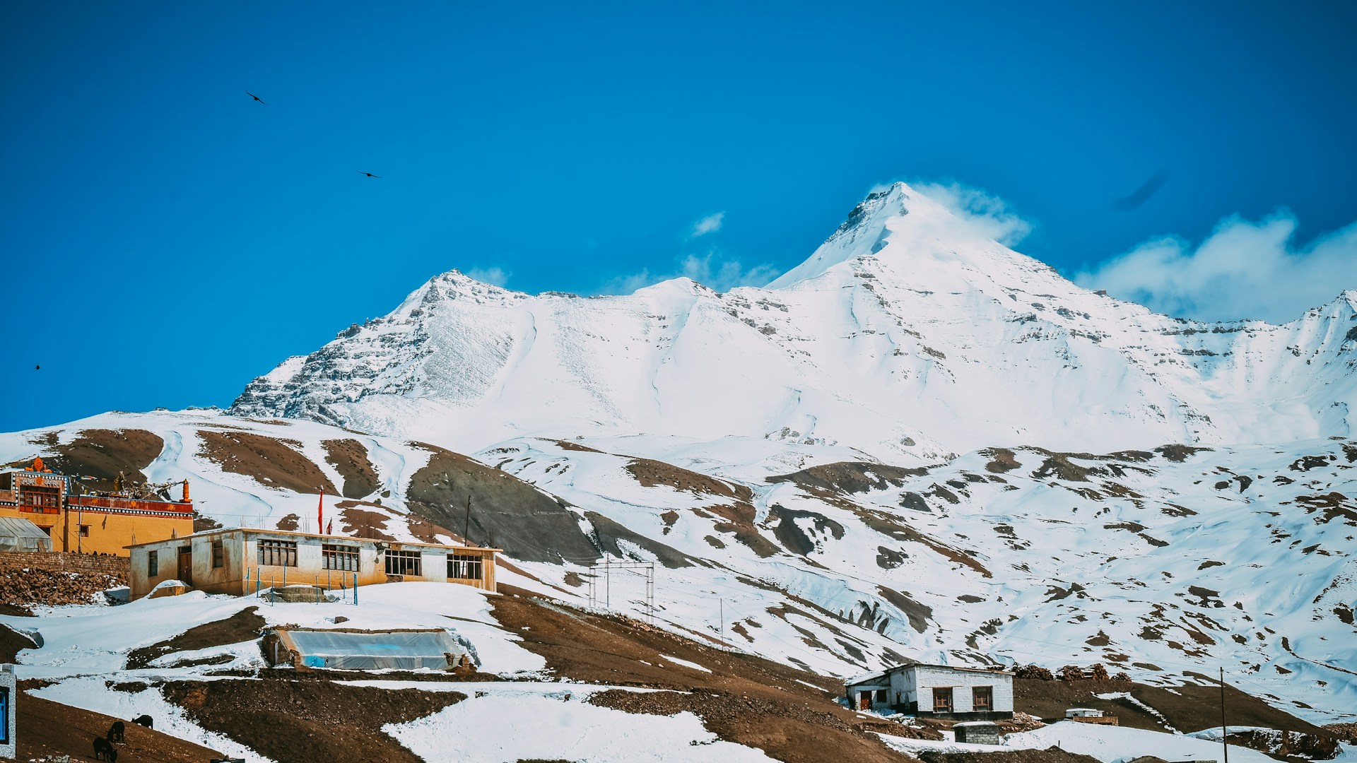 Himachal Hill Stations — Hills & Pine Forests