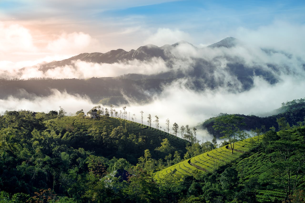 7 reasons Kerala belongs on your 2026 list