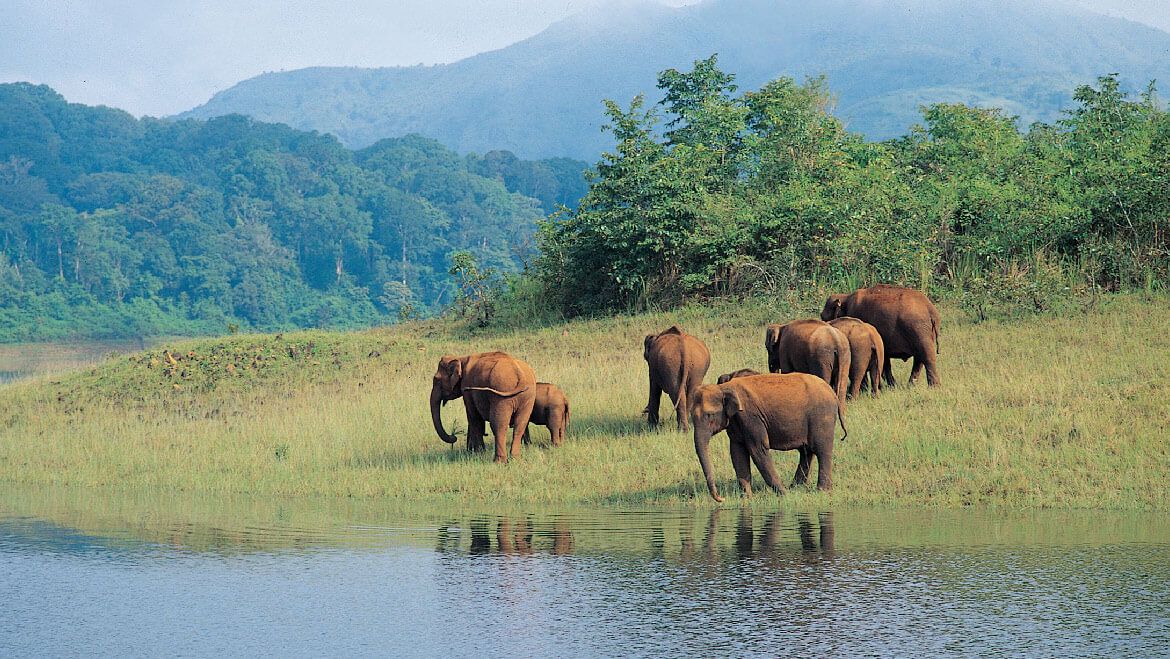 Periyar, Kerala