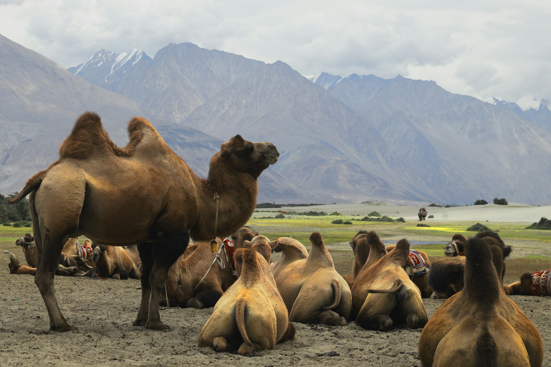 Leh & Ladakh travel inspiration
